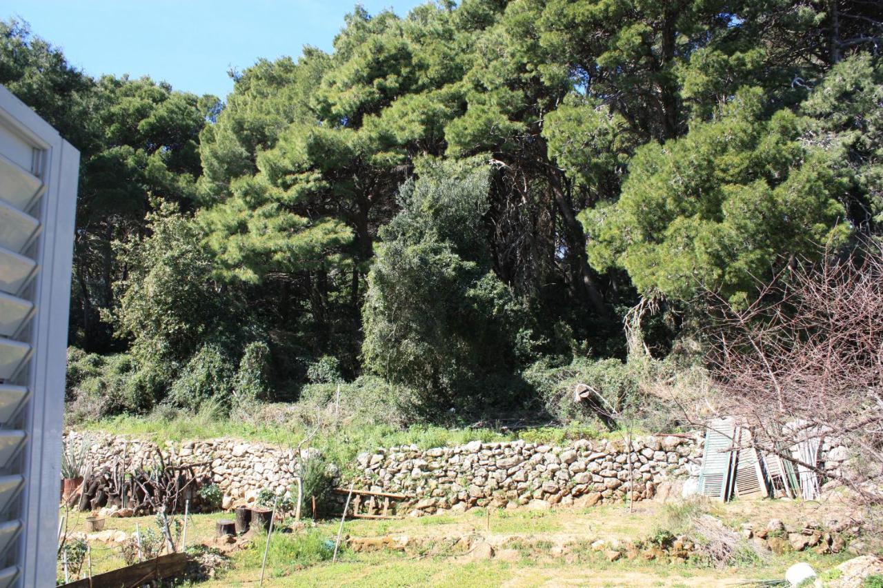 Pine Tree Apartment Dubrovnik Luaran gambar